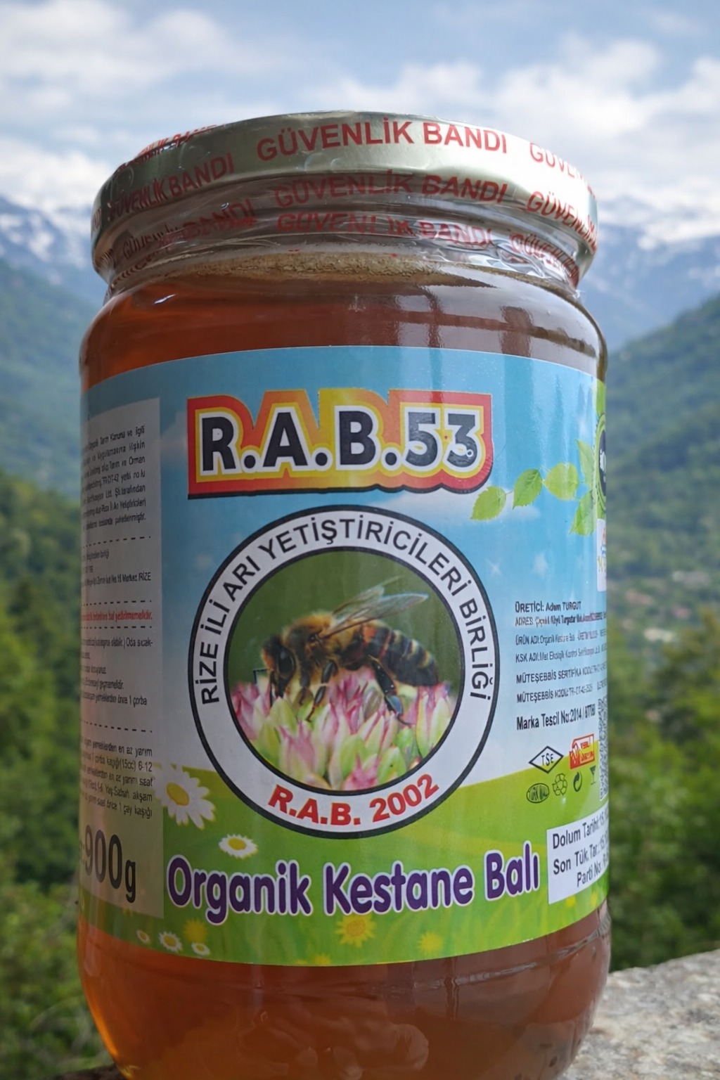 R.A.B 53 ORGANİK KESTANE BALI